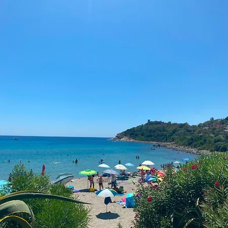 Family Porto Frailis *